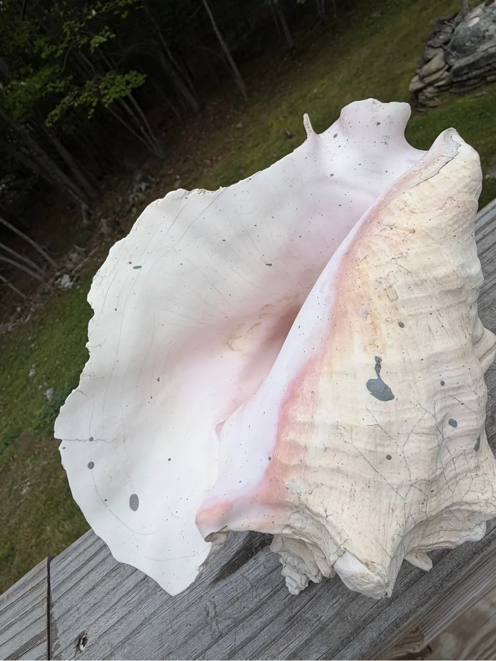Coastal Decor weathered queen